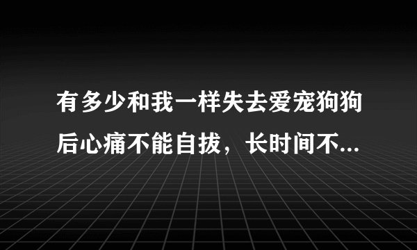 有多少和我一样失去爱宠狗狗后心痛不能自拔，长时间不能走出来的人？