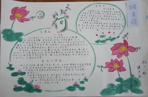 二年级语文手抄报怎么办