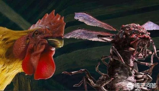 怒晴湘西中怒晴鸡怎么打不过六翅蜈蚣，它不是蜈蚣的克星吗？