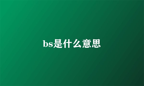 bs是什么意思