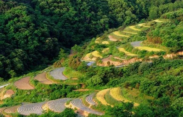 日照五莲山风景区怎么样，值得一去吗？