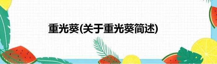 重光葵(关于重光葵简述)