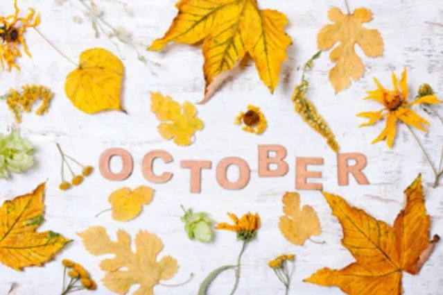 2022年10月3日黄历查询,2022年10月3日是黄道吉日吗？