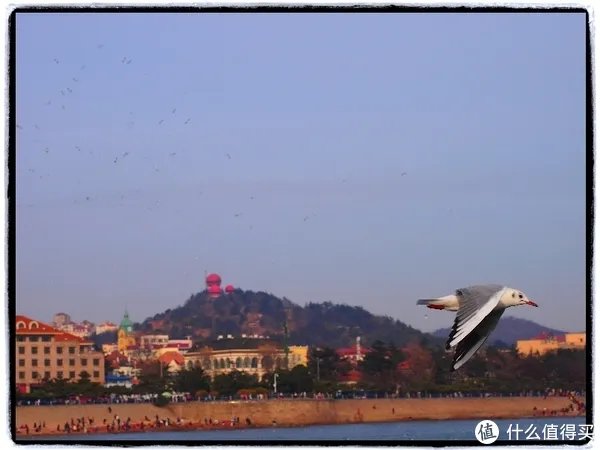 相机杂货铺-篇二   奥林巴斯EP3，提升较大的换代旗舰