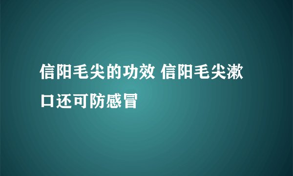 信阳毛尖的功效 信阳毛尖漱口还可防感冒
