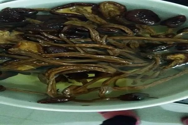 茶树菇炒肉的做法