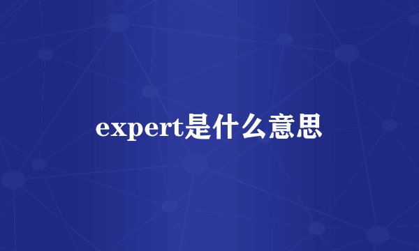 expert是什么意思