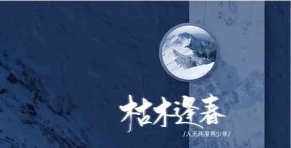 枯木逢春犹再发下一句是什么？