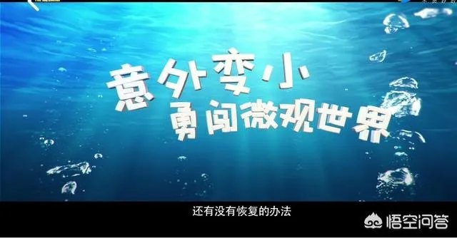 怎样看待《熊出没变形计》?