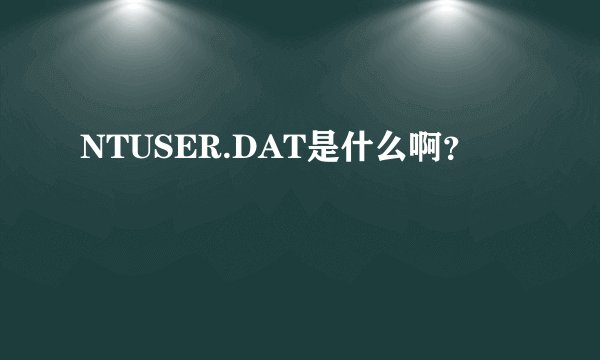 NTUSER.DAT是什么啊？
