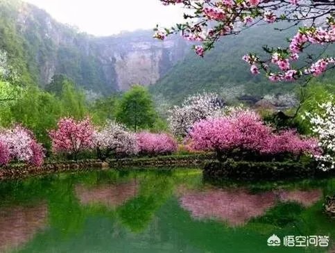 蒋大为唱的那首《在那桃花盛开的地方》，到底是哪个地方？