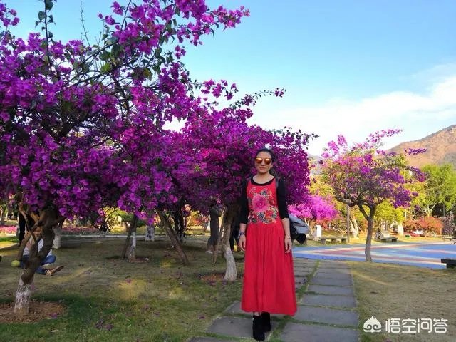 汉麻服装皱不皱