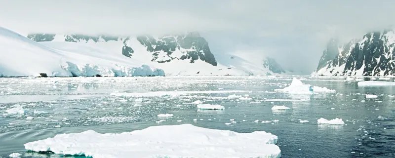 世界上最大的冰川在哪个大洲 世上最大的冰川在什么大洲