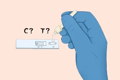 新冠核酸抗原检测C跟T是什么意思