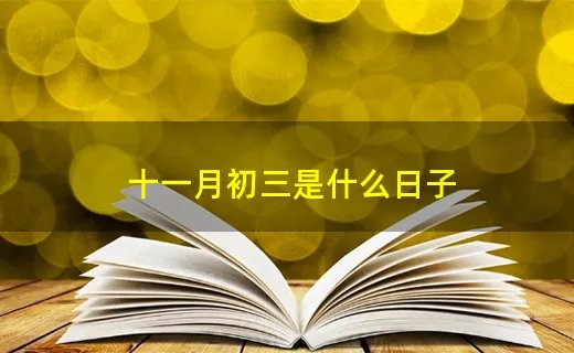 十一月初三是什么日子