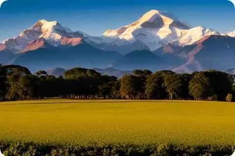 草圣张旭的代表作有哪些