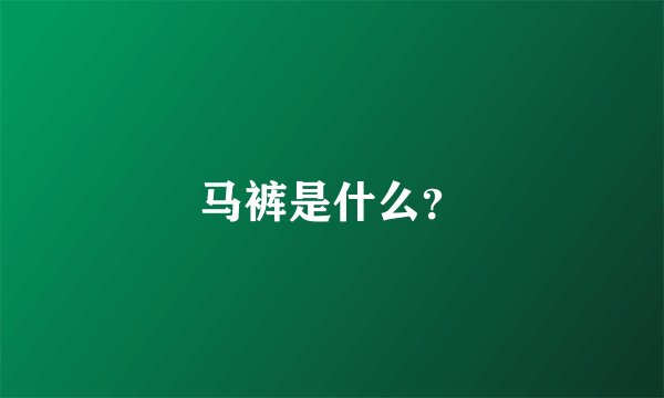马裤是什么?