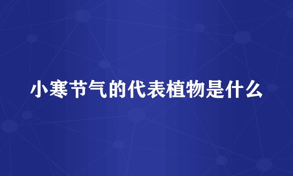 小寒节气的代表植物是什么