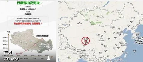 冬虫夏草酒的价格