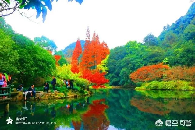 浙江有哪些适合自由行的景点？