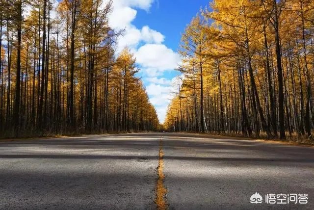 大兴安岭，这么美，你会去看看吗？