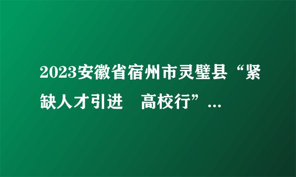 2023安徽省宿州市灵璧县“紧缺人才引进•高校行”招聘工作人员拟聘用人员公示