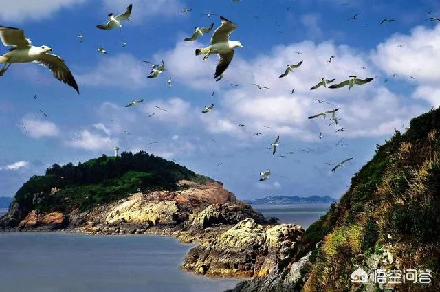 去温州有哪些旅游攻略？