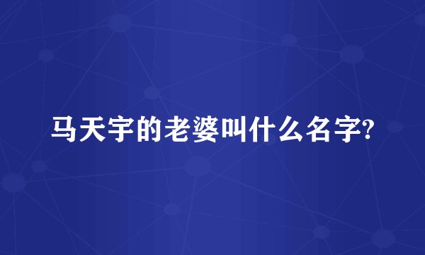 马天宇的老婆叫什么名字?