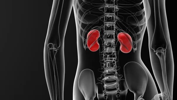 肾盂肾炎的症状有哪些