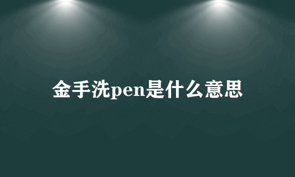 金手洗pen是什么意思