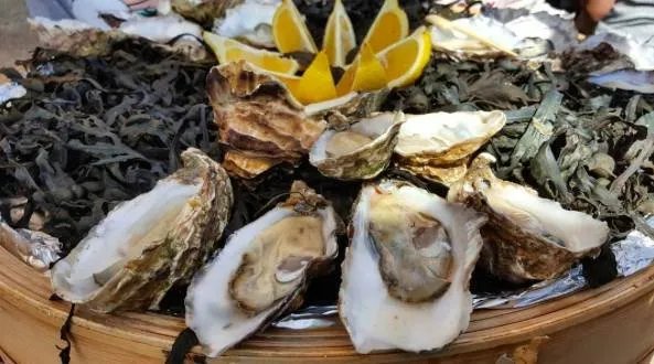 荷兰有什么特色美食？