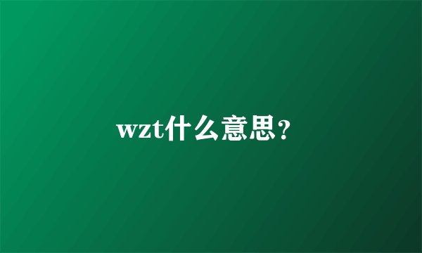 wzt什么意思？