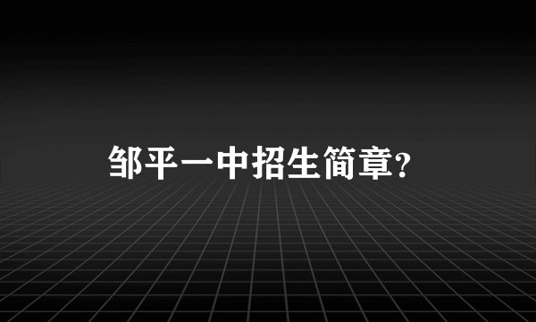 邹平一中招生简章？