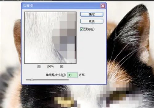 马赛克是什么意思  马赛克艺术图片赏析