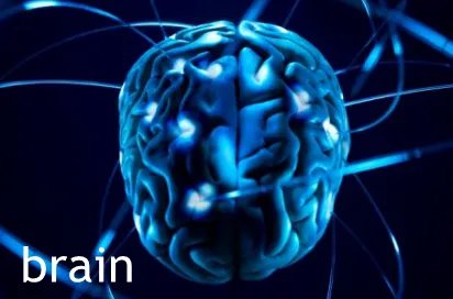 brain+blog是什么意思?