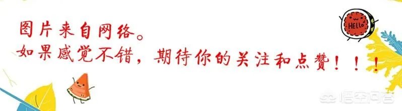 土耳其总理说美国和俄罗斯就像街头混混那样“争来斗去”,这样说的目的是什么?
