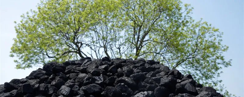 洗煤厂是干什么的 什么叫洗煤厂