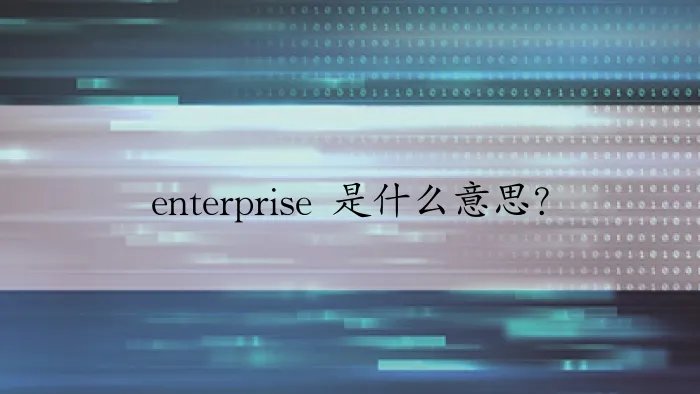 enterprise 是什么意思？