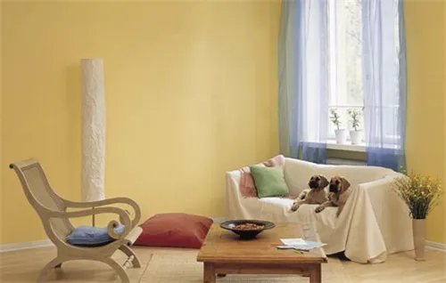 内墙漆和外墙漆有什么区别