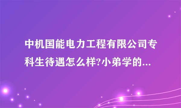 中机国能电力工程有限公司专科生待遇怎么样?小弟学的是继电保护的？