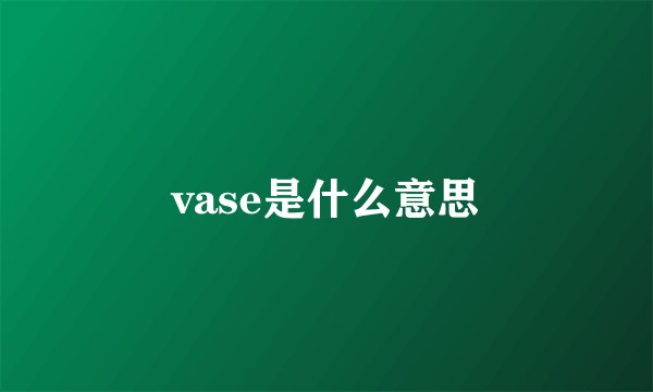 vase是什么意思