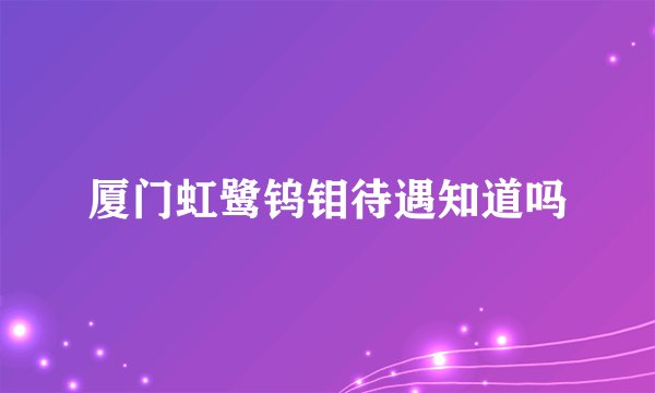 厦门虹鹭钨钼待遇知道吗