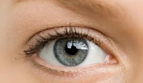 睫毛种植多少钱呢