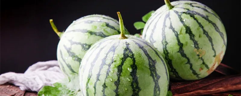 无籽西瓜的培育原理 无籽西瓜的培育原理是染色体变异吗