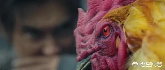 怒晴湘西中怒晴鸡怎么打不过六翅蜈蚣，它不是蜈蚣的克星吗？