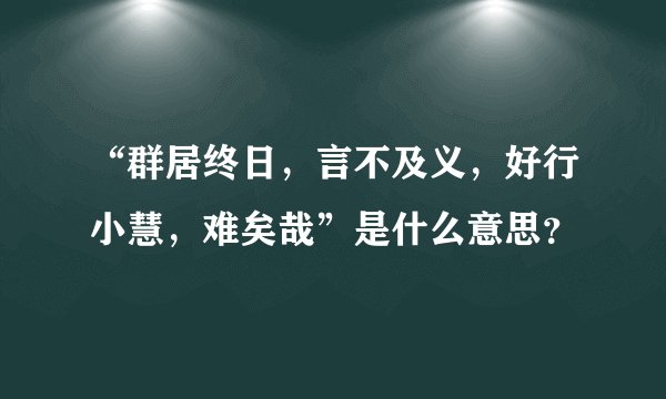 “群居终日，言不及义，好行小慧，难矣哉”是什么意思？