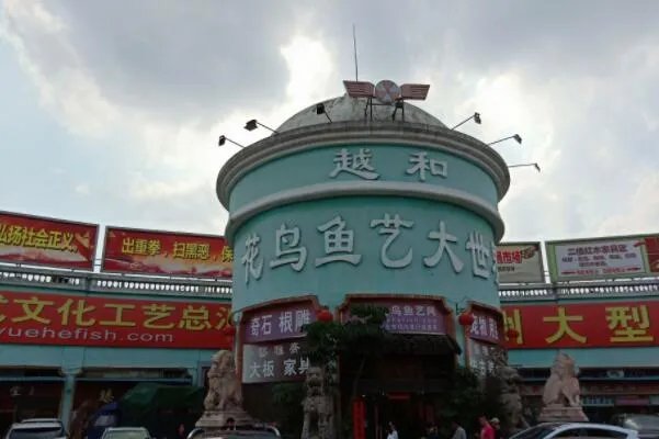 全国十大花鸟鱼虫市场，十里河花鸟市场上榜，第一全国规模最大