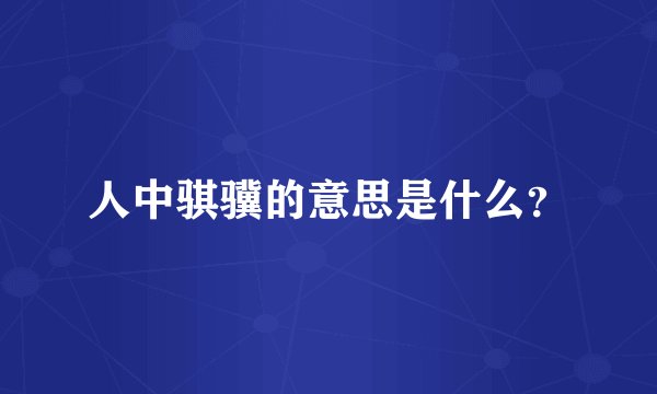 人中骐骥的意思是什么？