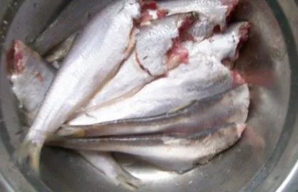 黄鲫子鱼怎么炒