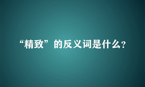 “精致”的反义词是什么？